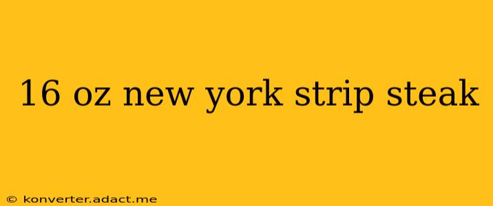 16 oz new york strip steak