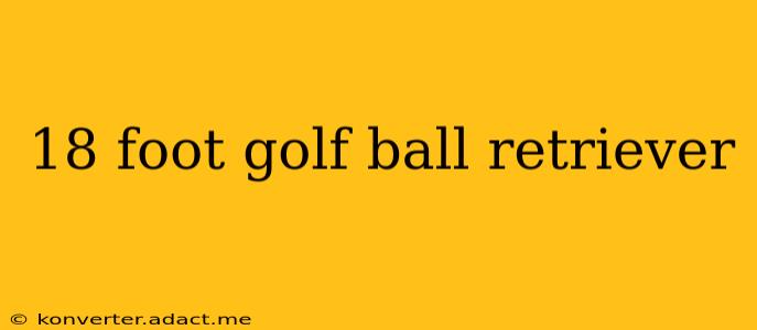18 foot golf ball retriever