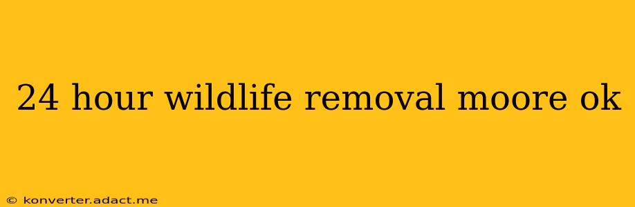 24 hour wildlife removal moore ok