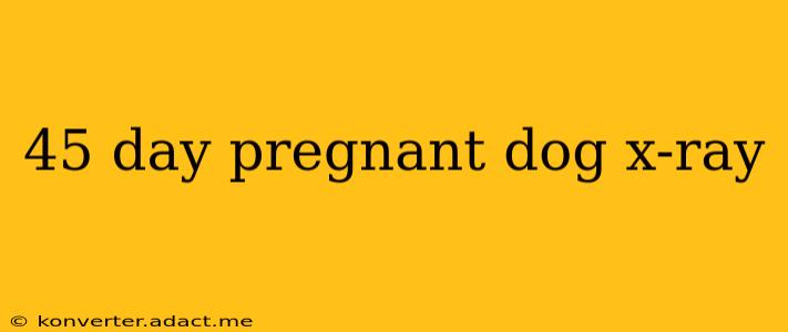 45 day pregnant dog x-ray