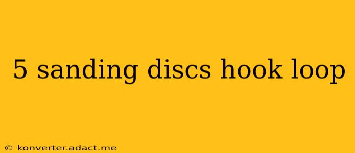 5 sanding discs hook loop