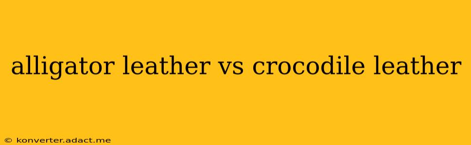 alligator leather vs crocodile leather