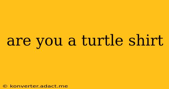 are you a turtle shirt