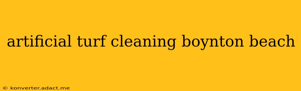 artificial turf cleaning boynton beach