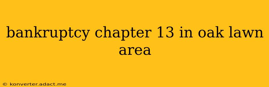 bankruptcy chapter 13 in oak lawn area