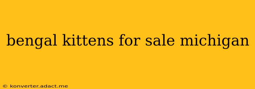 bengal kittens for sale michigan