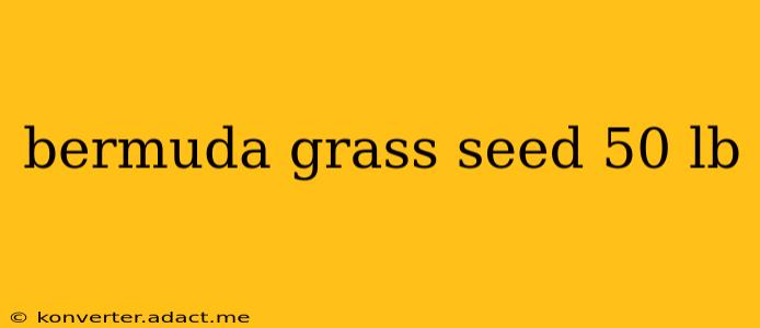 bermuda grass seed 50 lb