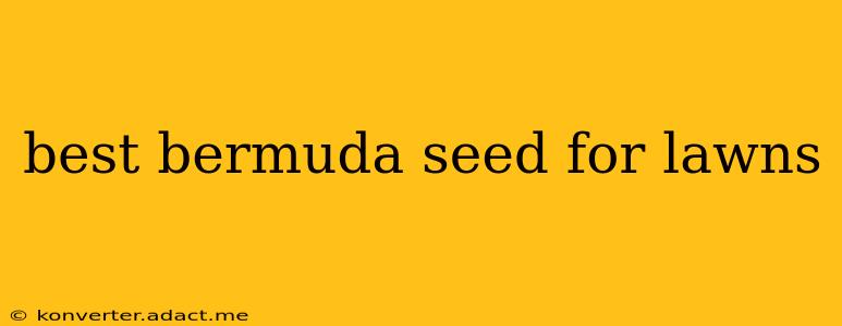 best bermuda seed for lawns