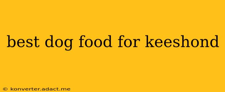 best dog food for keeshond