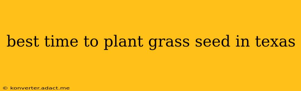 best time to plant grass seed in texas