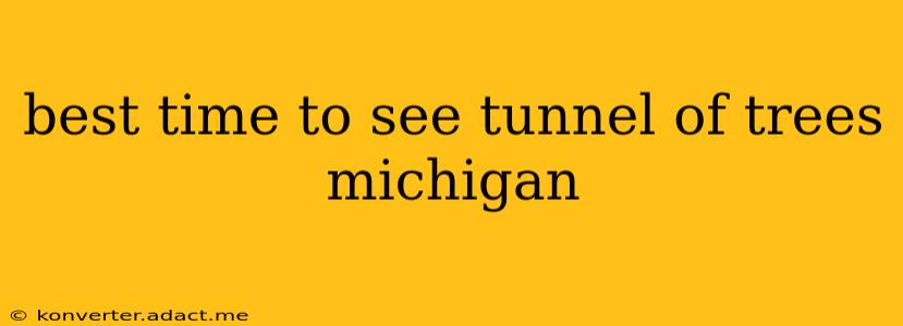 best time to see tunnel of trees michigan