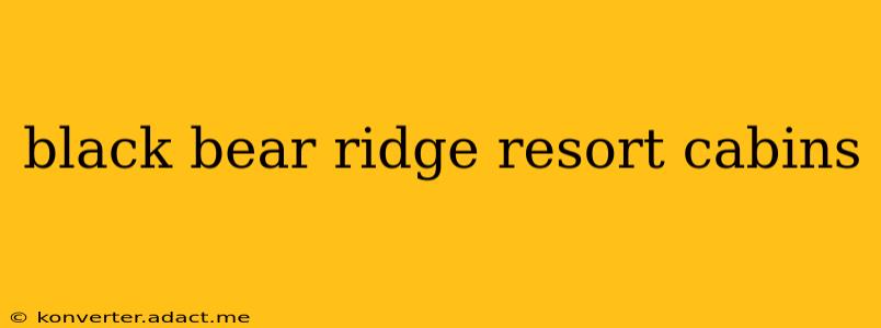 black bear ridge resort cabins