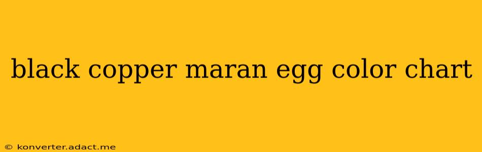 black copper maran egg color chart