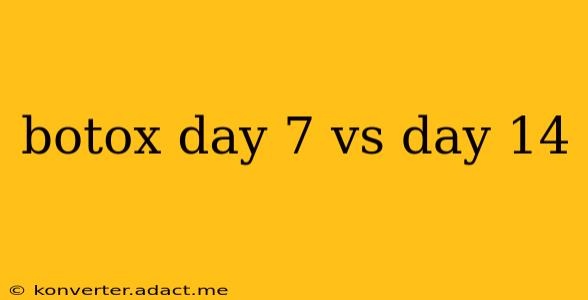 botox day 7 vs day 14