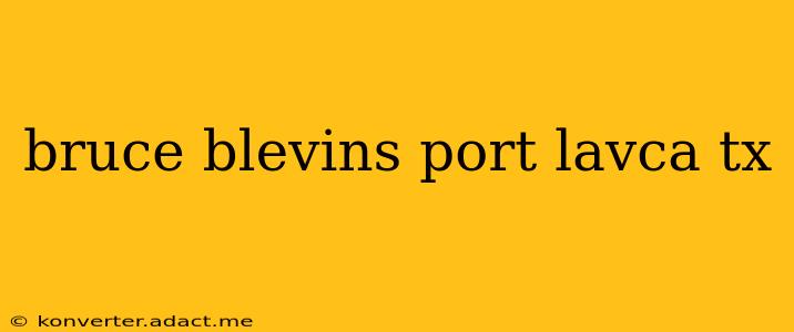 bruce blevins port lavca tx
