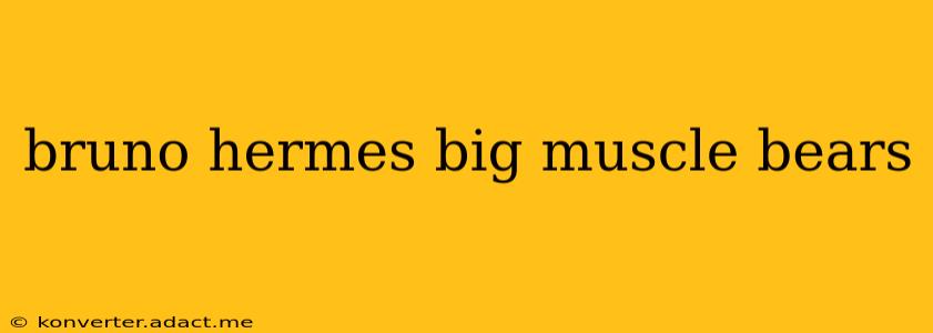 bruno hermes big muscle bears bruno hermes big muscle bears