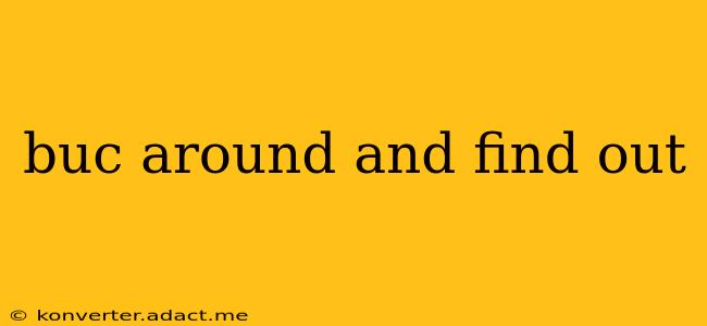 buc around and find out buc around and find out