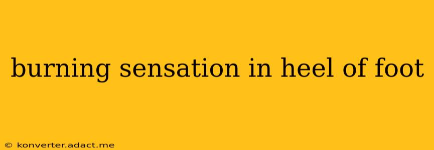 burning sensation in heel of foot