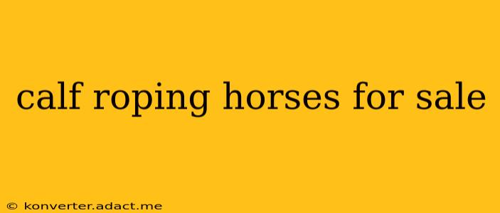 calf roping horses for sale