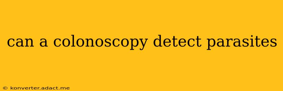 can a colonoscopy detect parasites