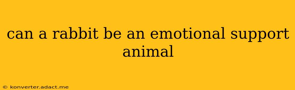 can a rabbit be an emotional support animal