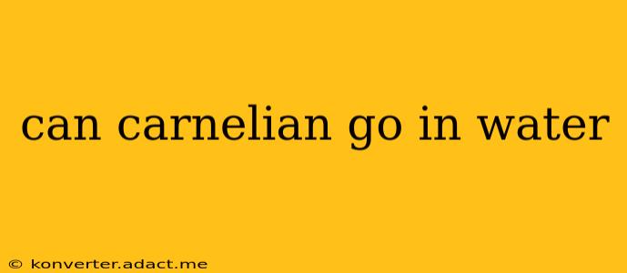 can carnelian go in water