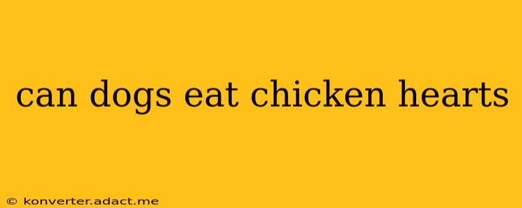 can dogs eat chicken hearts