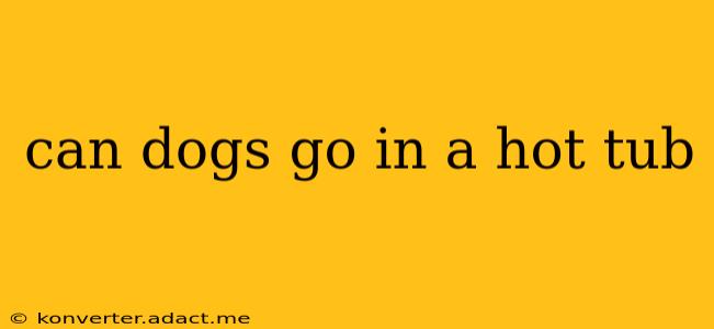 can dogs go in a hot tub