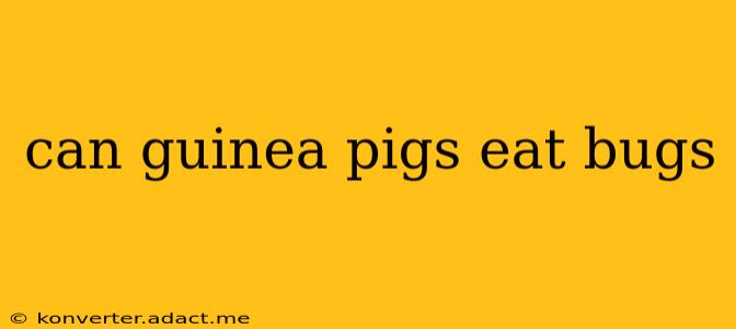 can guinea pigs eat bugs
