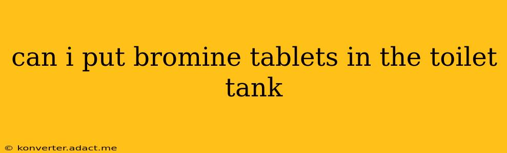 can i put bromine tablets in the toilet tank