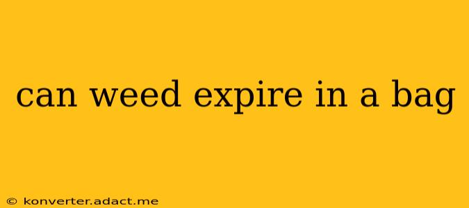 can weed expire in a bag