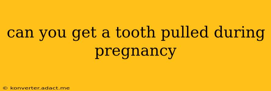 can you get a tooth pulled during pregnancy