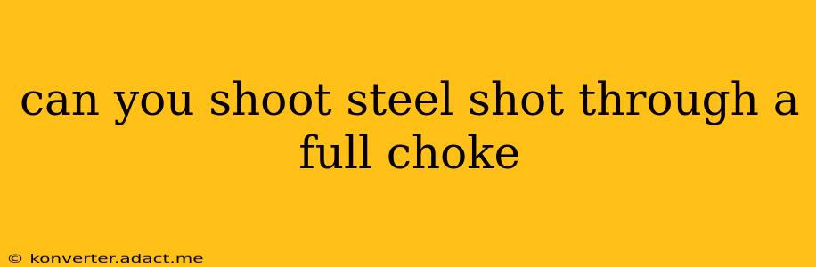 can you shoot steel shot through a full choke