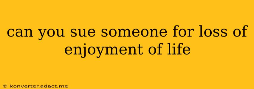 can you sue someone for loss of enjoyment of life