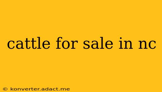 cattle for sale in nc