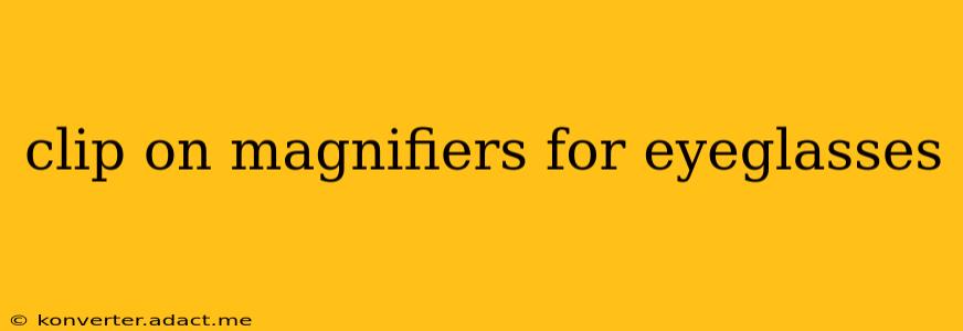 clip on magnifiers for eyeglasses