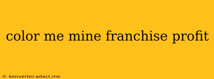 color me mine franchise profit