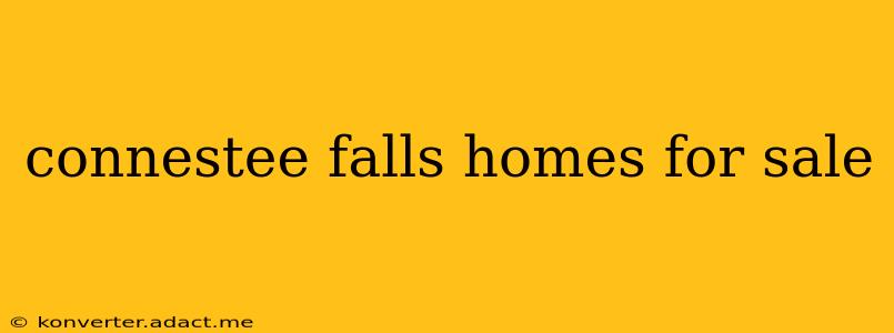 connestee falls homes for sale