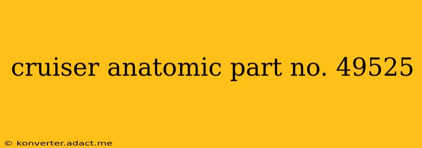 cruiser anatomic part no. 49525
