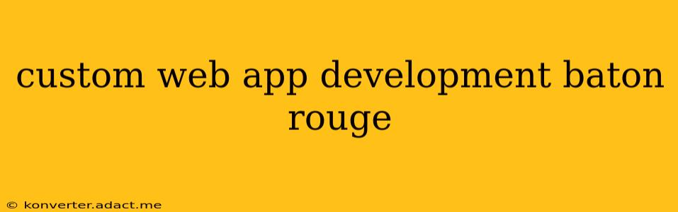 custom web app development baton rouge