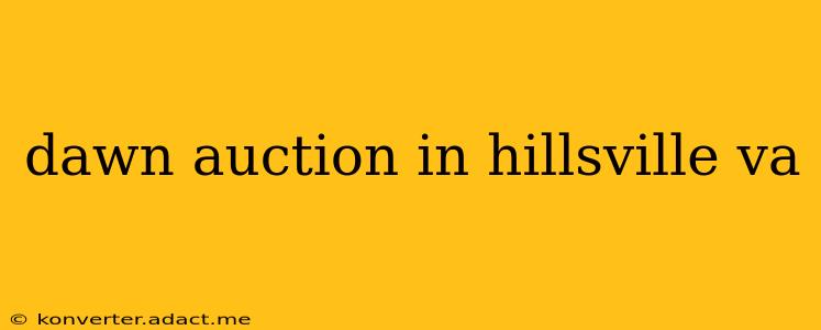 dawn auction in hillsville va