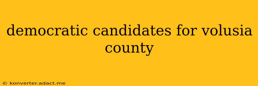 democratic candidates for volusia county