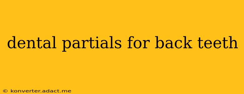dental partials for back teeth