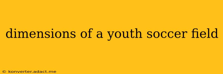 dimensions of a youth soccer field