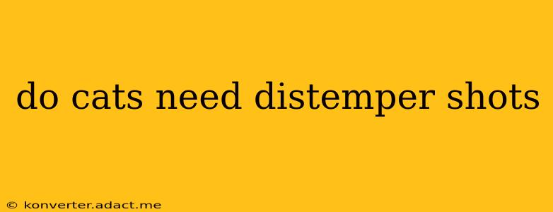 do cats need distemper shots