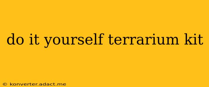 do it yourself terrarium kit