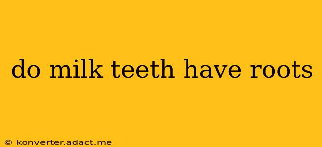 do milk teeth have roots