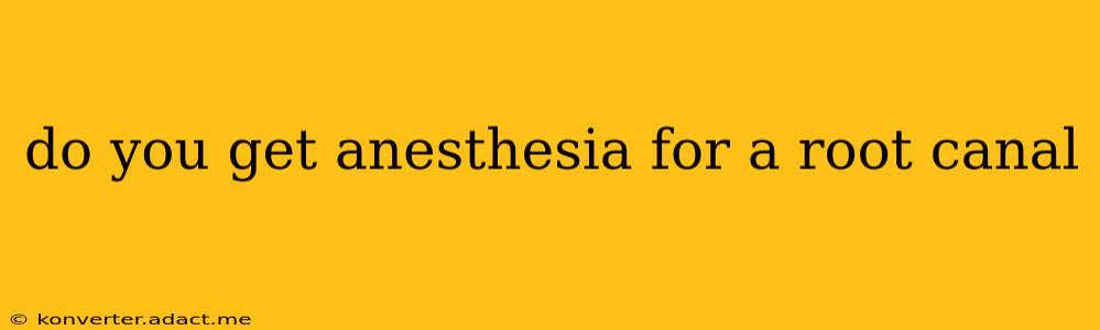 do you get anesthesia for a root canal