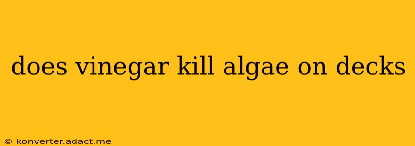 does vinegar kill algae on decks