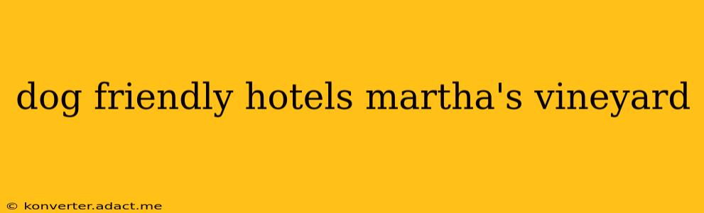 dog friendly hotels martha's vineyard
